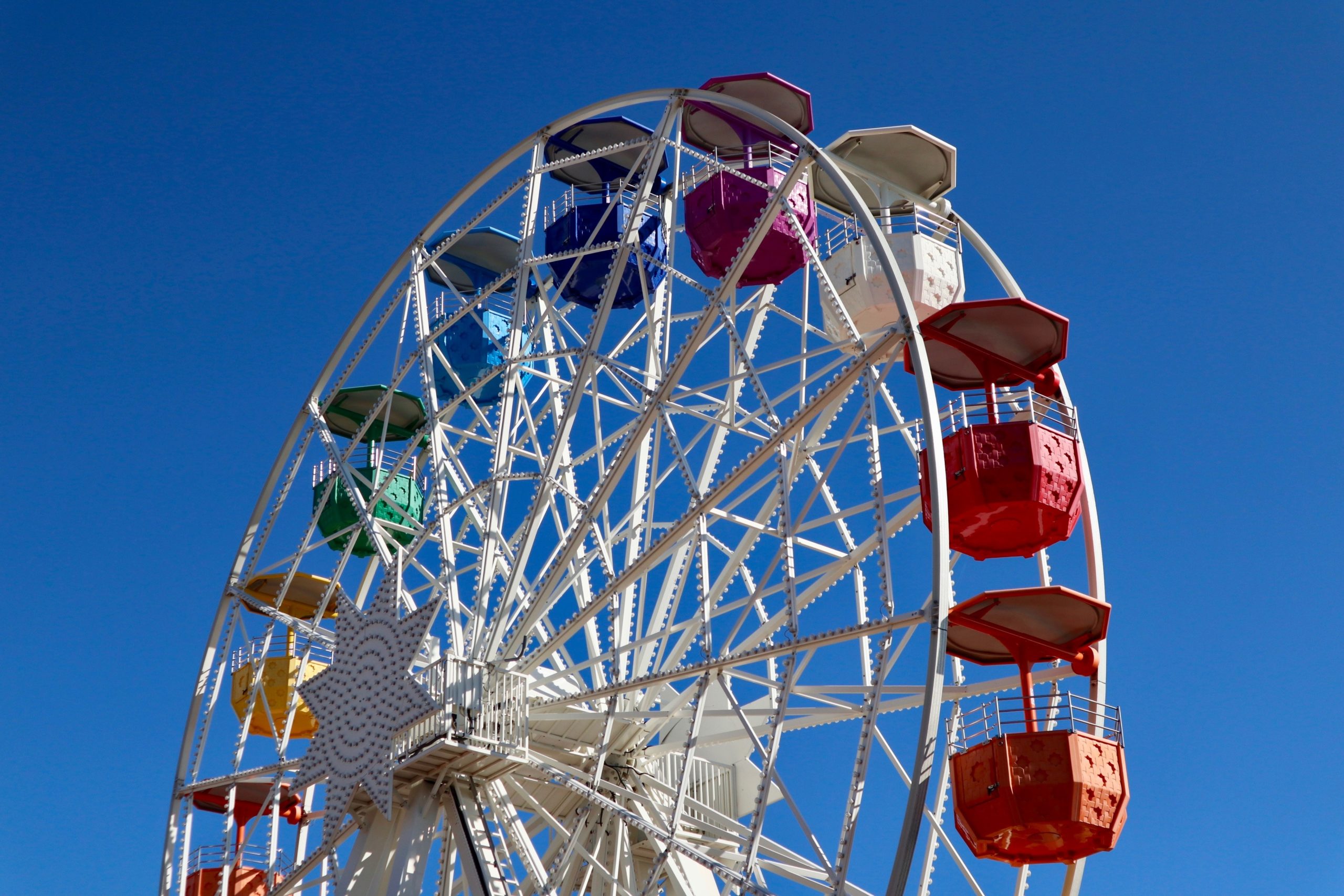 Tennessee Valley Fair is Back John Bailey Company